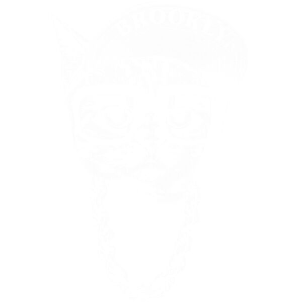 Brooklyn Cat Thumbnail