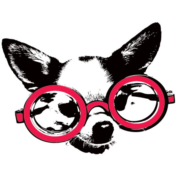 Nerd Chihuahua Thumbnail